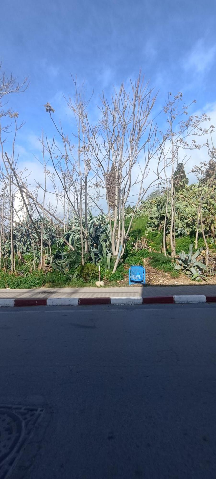 Une jolie maison situé au coeur de Sidi Bou Ali Esterno foto
